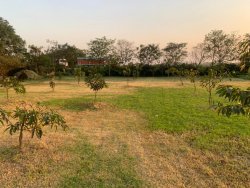 Development of green belt area