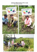 PLANTATION  1-11-2021