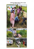 PLANTATION  1-11-2021